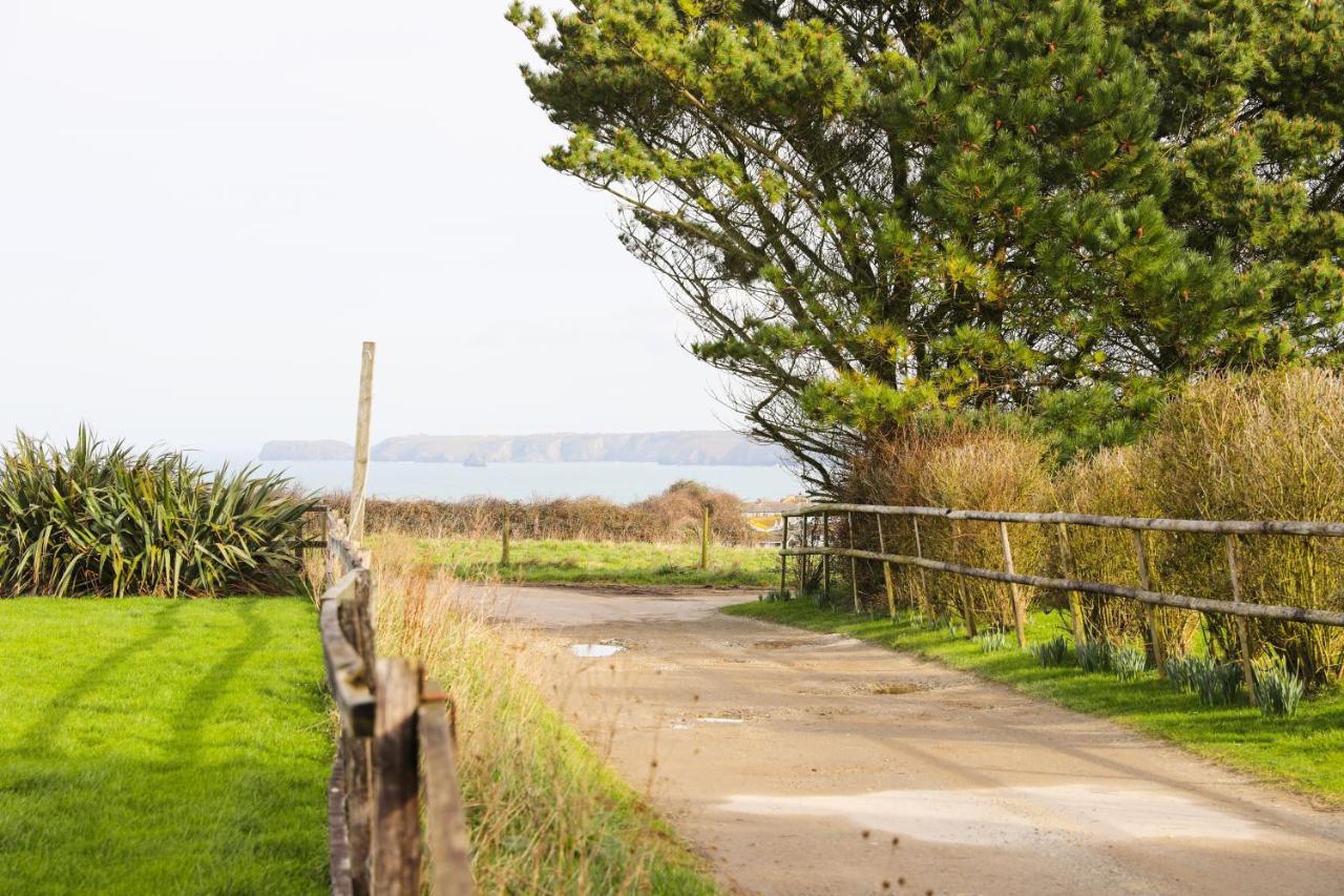 Northlight, Port Isaac Bay Holidays Exterior foto